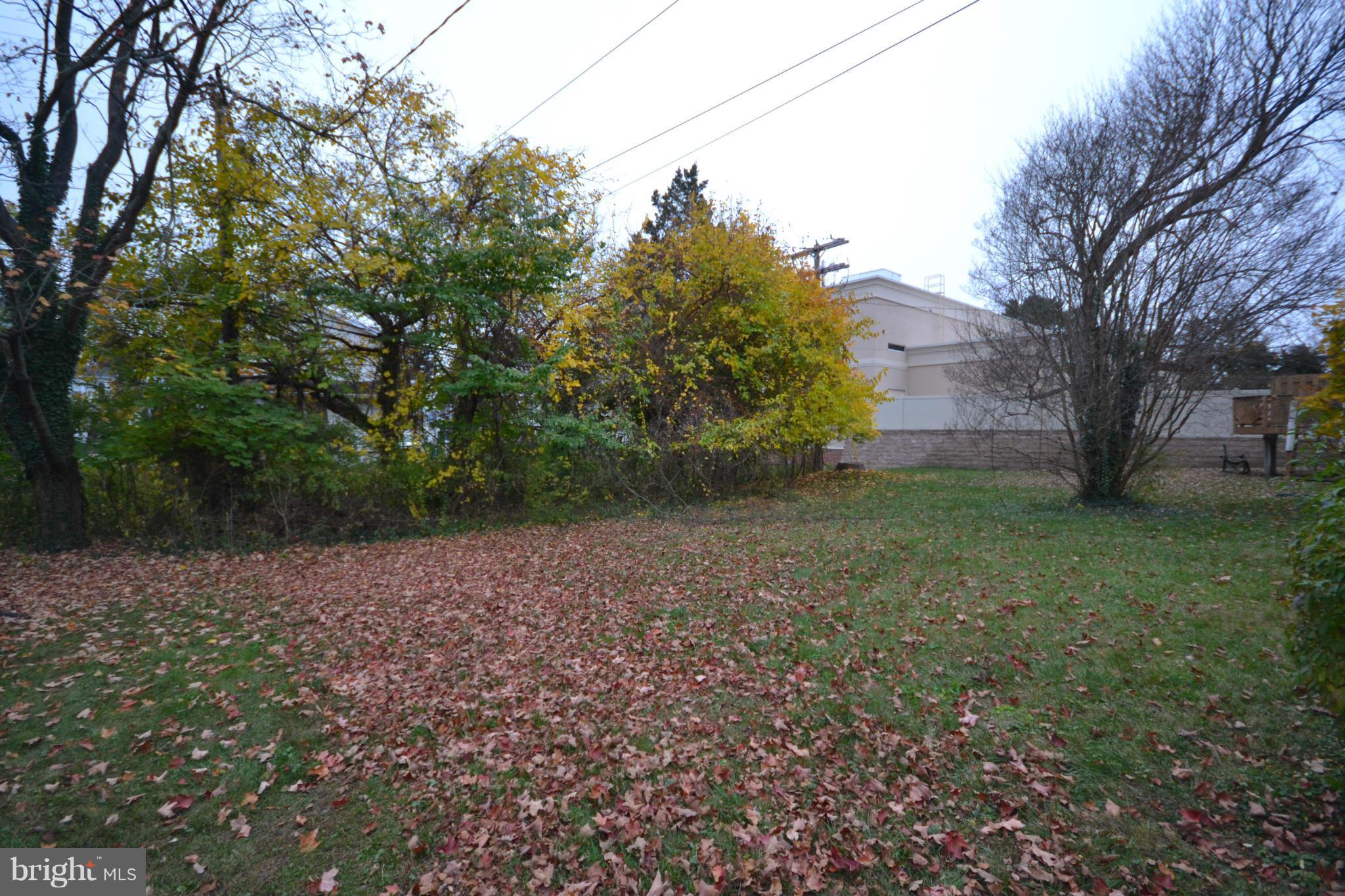 3317 Marnat Road Pikesville, MD 21208 - Photo 18 of 19 Yard