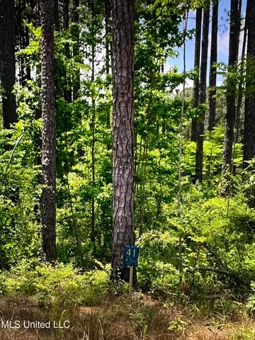 $90,300 | 0 Apollo Way, Canton, MS 39046