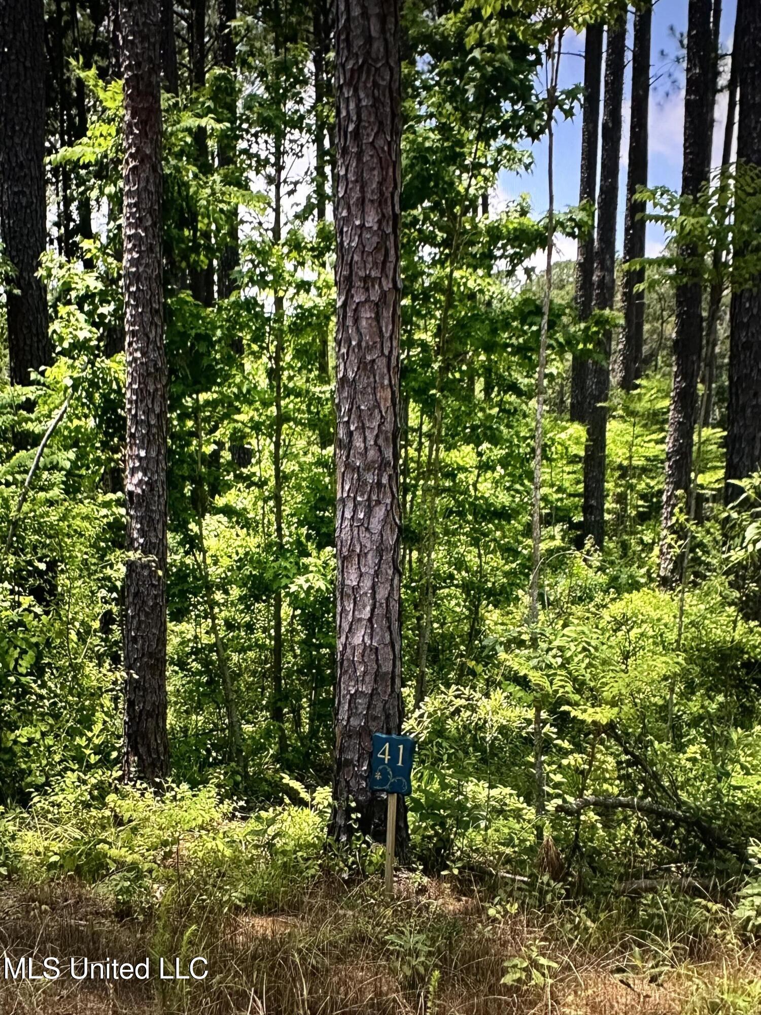 0 Apollo Way Canton, MS 39046 - Photo 3 of 10 Expedition Point lot 41