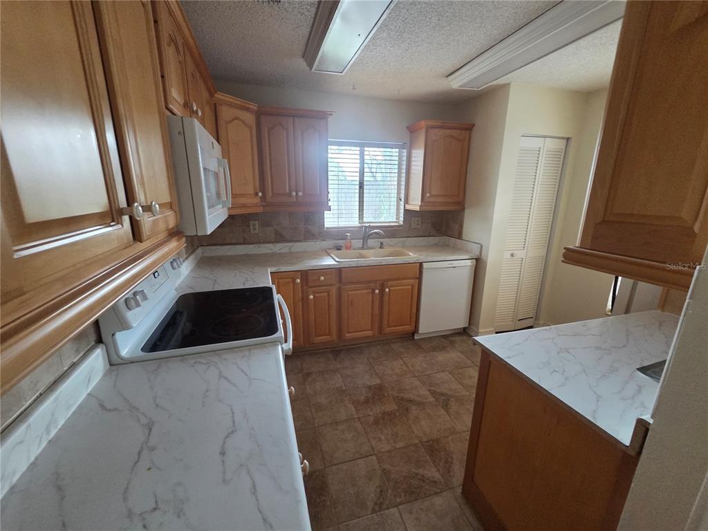 2010 Branch Tree Lane Brandon, FL 33511 - Photo 11 of 26