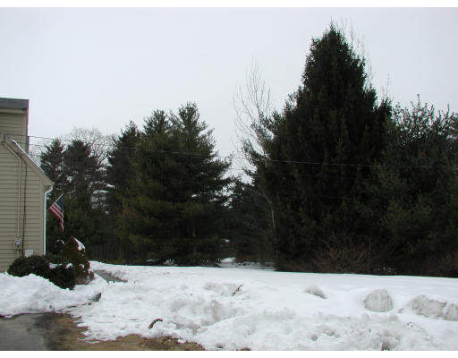 347 Boston Road Chelmsford, MA 01824 - Photo 7 of 11 a view of snow covered with snow in the background