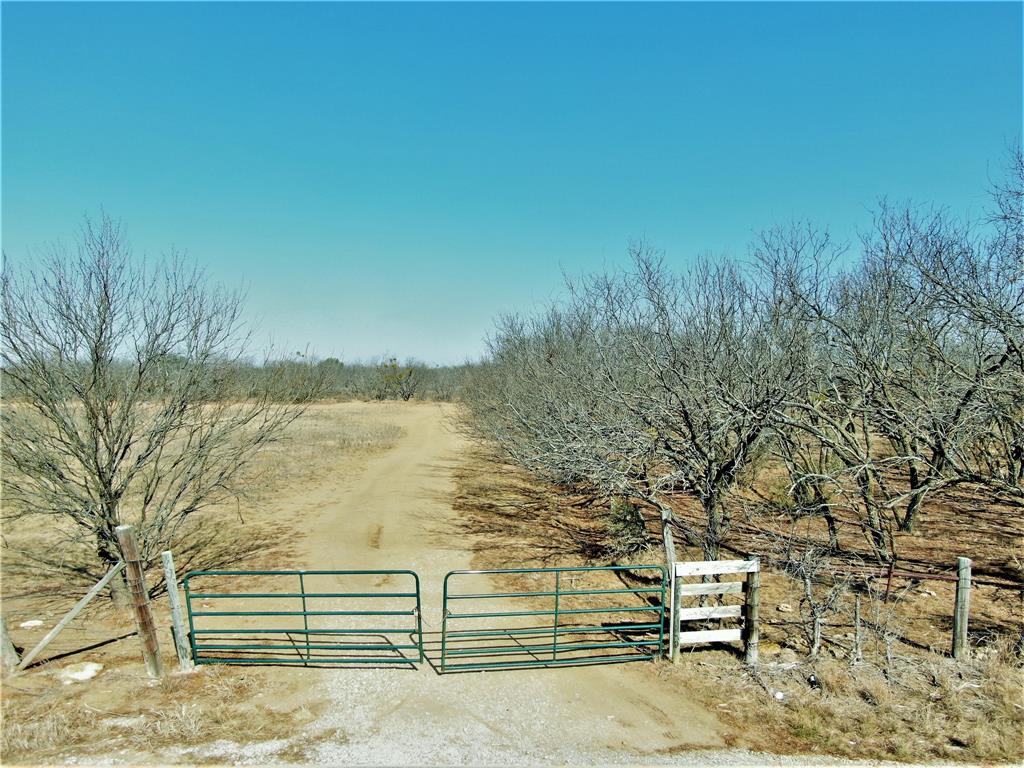 163 County Road 163 Bangs, TX 76823 - Photo 1 of 1 a view of a lake with a bench and trees