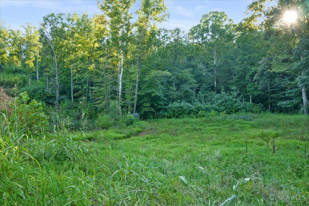 Acres Waggoner Riffle Road West Union, OH 45693 - Photo 8 of 29 Gallery Image 8