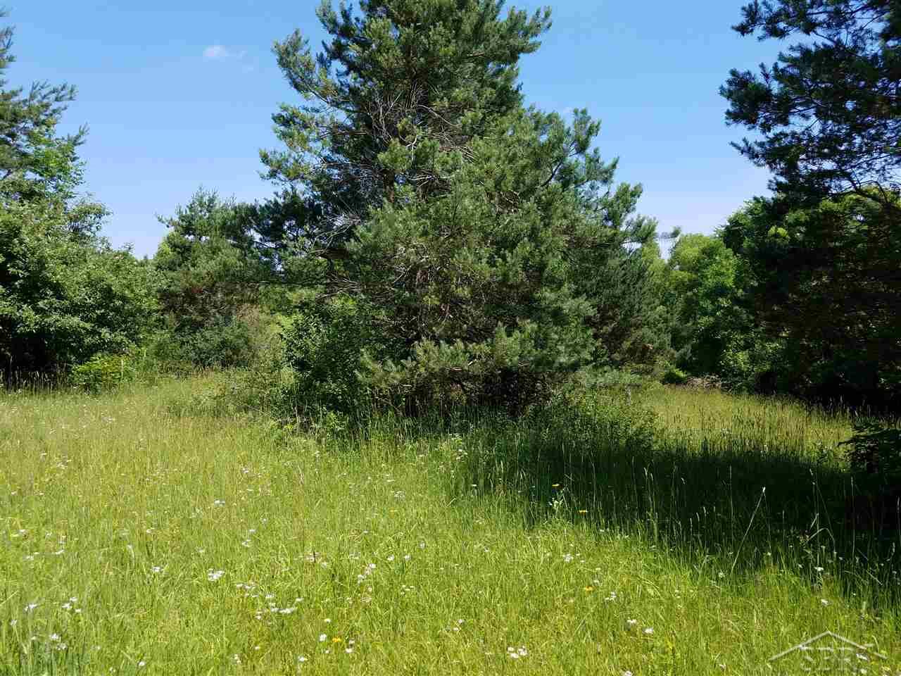 5520 Rossman Road Kingston, MI 48741 - Photo 38 of 71 Gallery Image 38