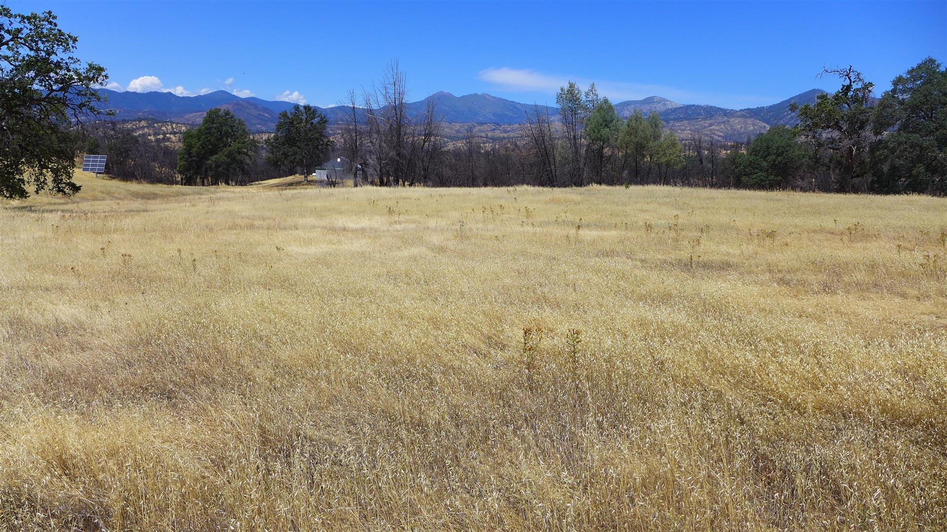 6050 Junkans Road Igo, CA 96047 - Photo 21 of 50 P1070765