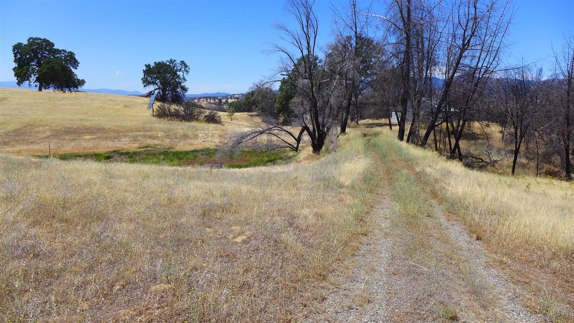 6050 Junkans Road Igo, CA 96047 - Photo 22 of 50 P1070766