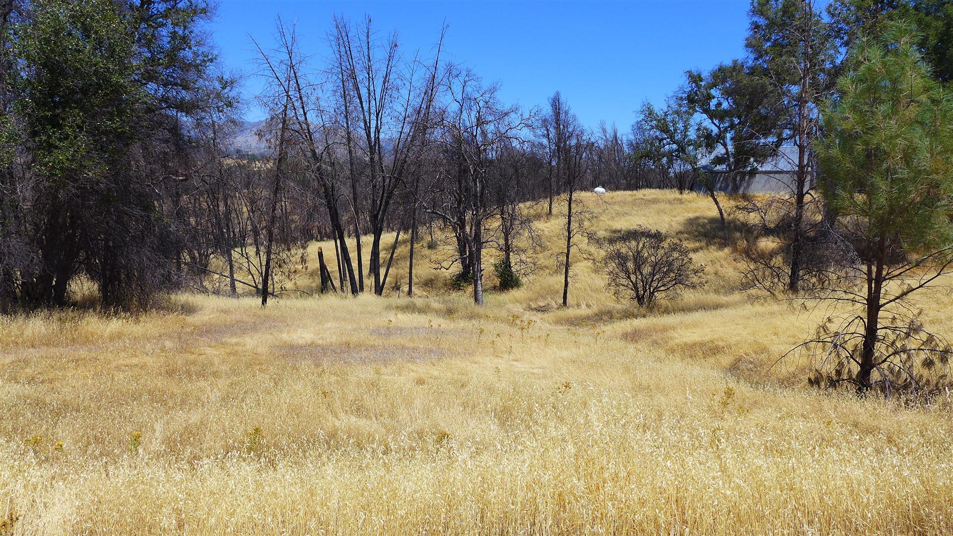 6050 Junkans Road Igo, CA 96047 - Photo 28 of 50 P1070775