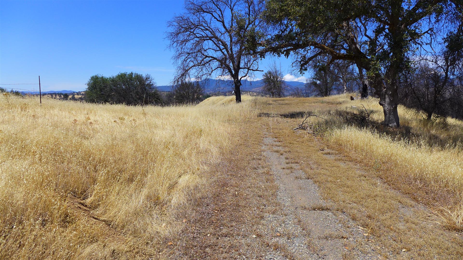 6050 Junkans Road Igo, CA 96047 - Photo 29 of 50 P1070776