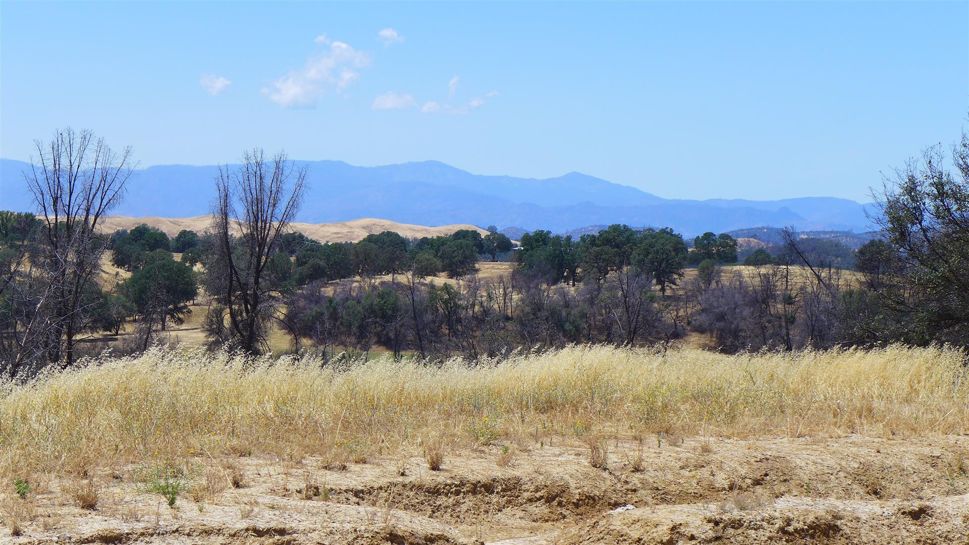 6050 Junkans Road Igo, CA 96047 - Photo 32 of 50 P1070779