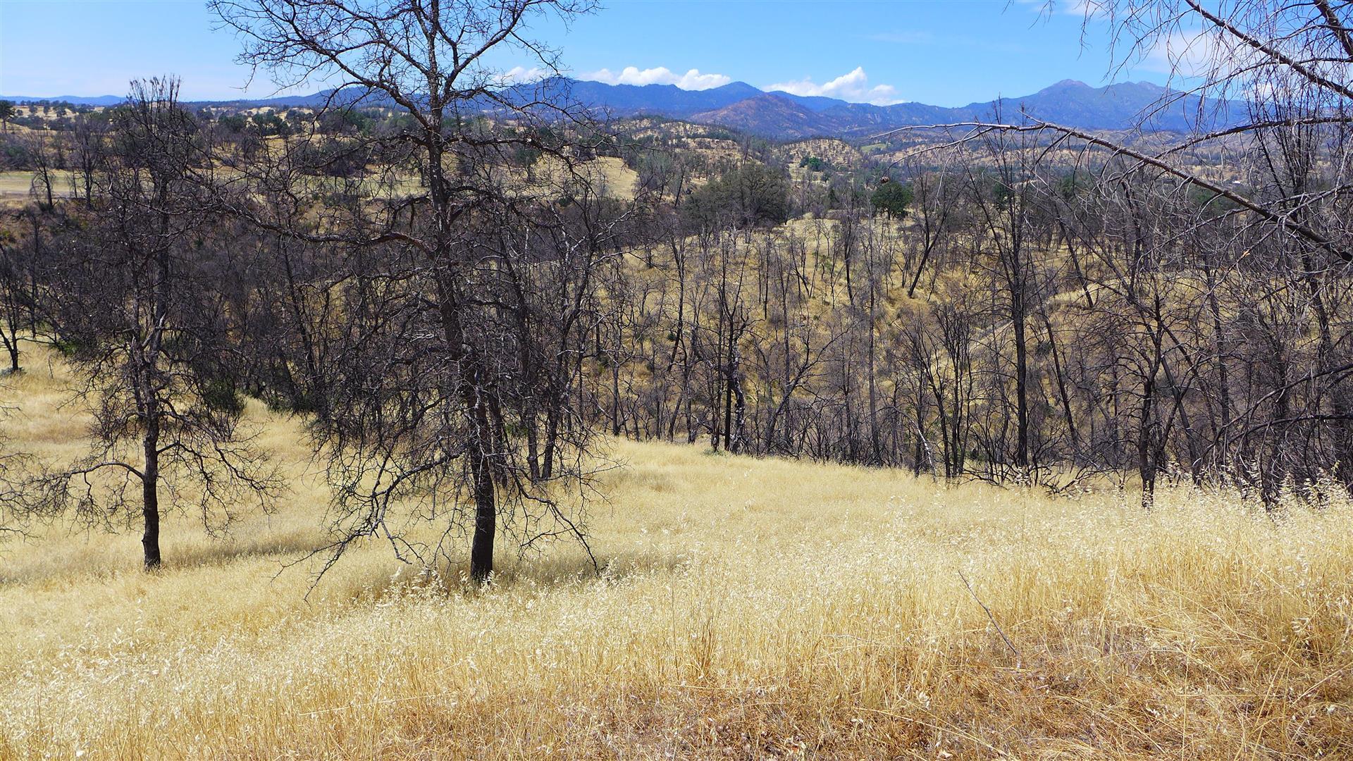 6050 Junkans Road Igo, CA 96047 - Photo 34 of 50 P1070781