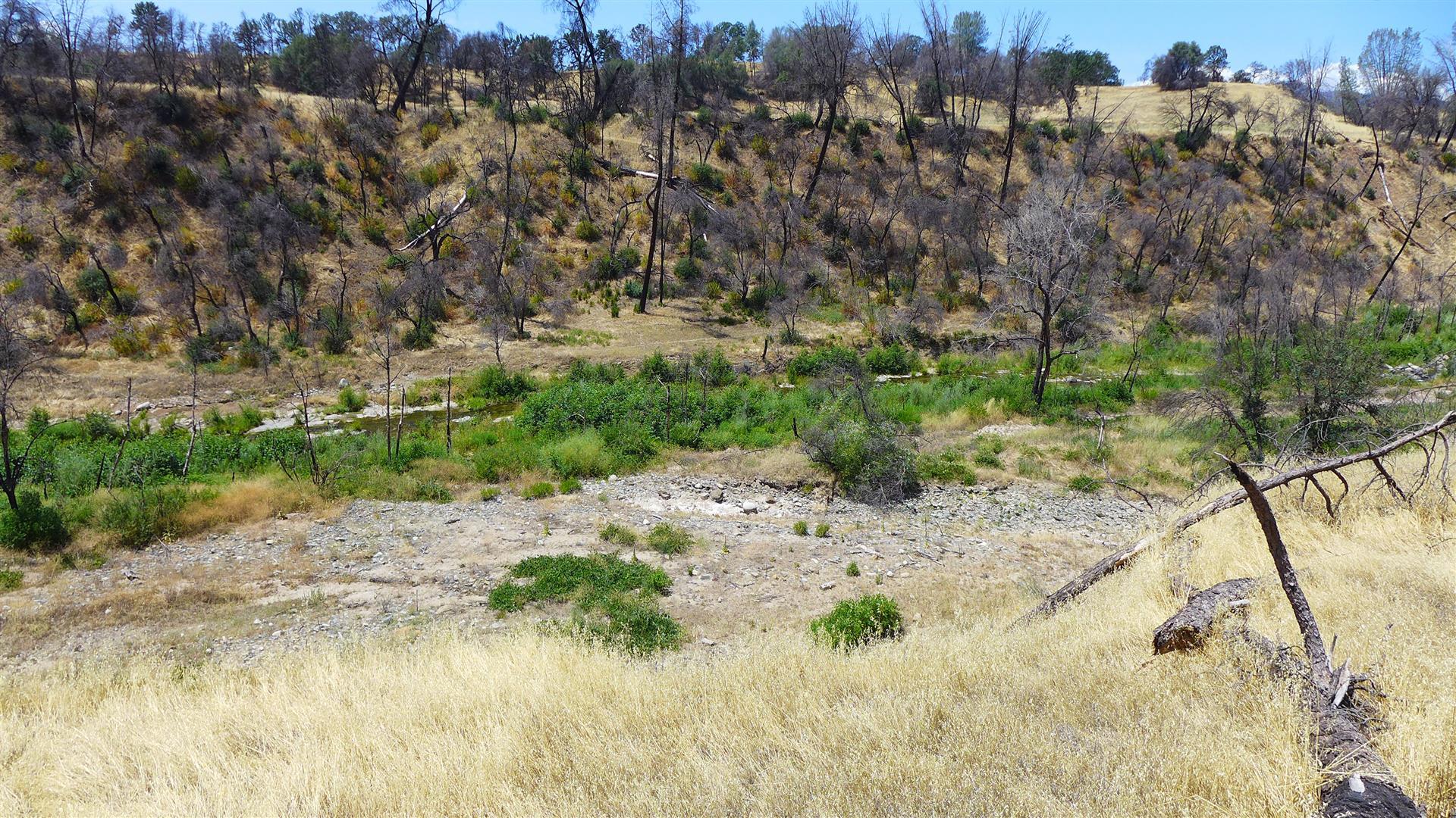6050 Junkans Road Igo, CA 96047 - Photo 35 of 50 P1070782