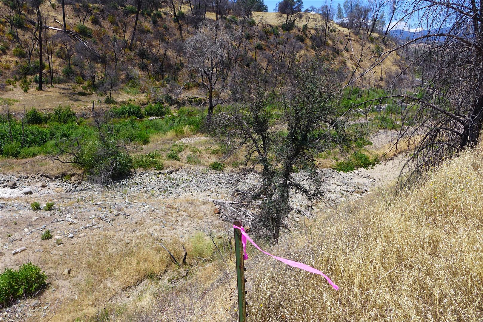 6050 Junkans Road Igo, CA 96047 - Photo 36 of 50 P1070785