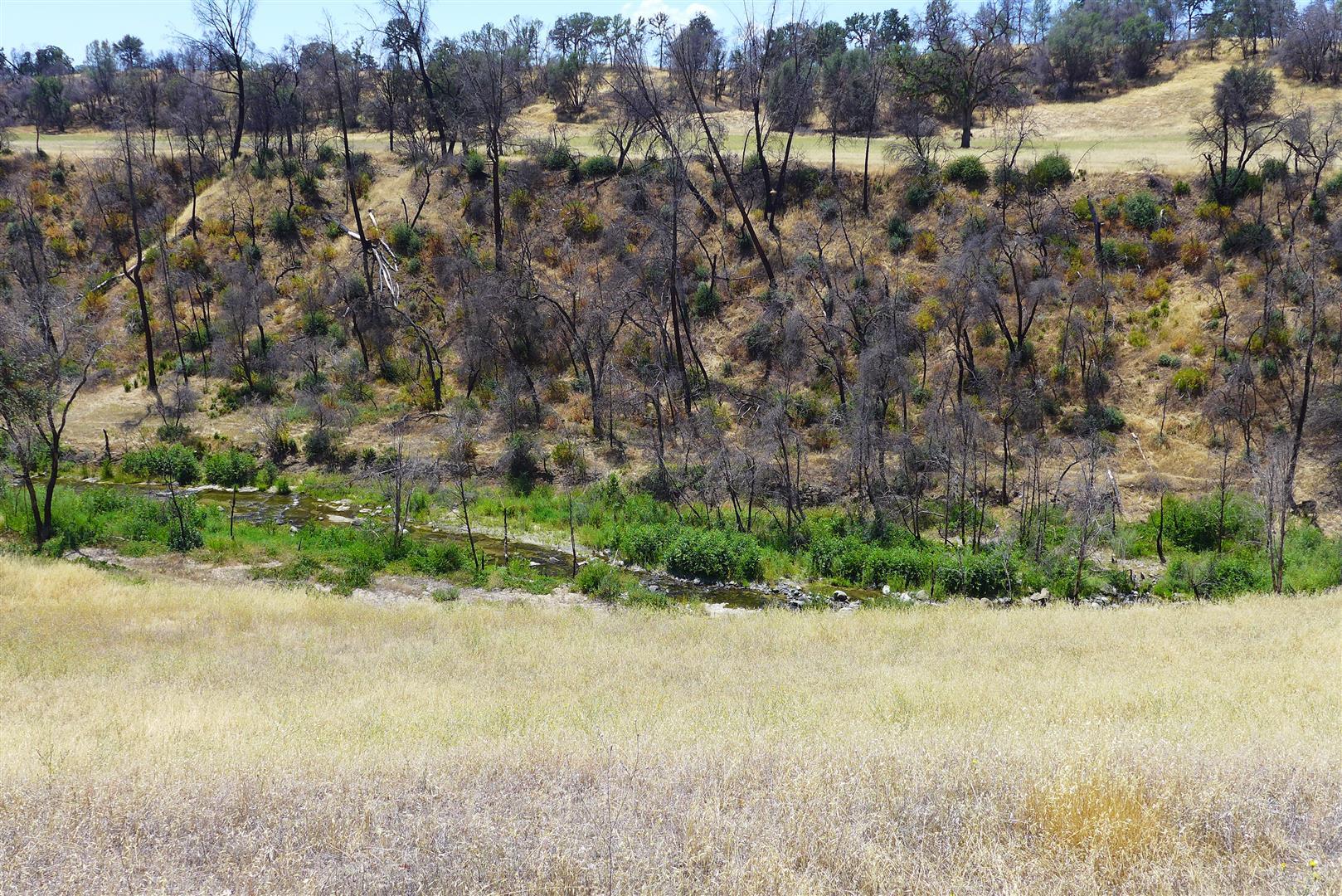 6050 Junkans Road Igo, CA 96047 - Photo 45 of 50 P1070796