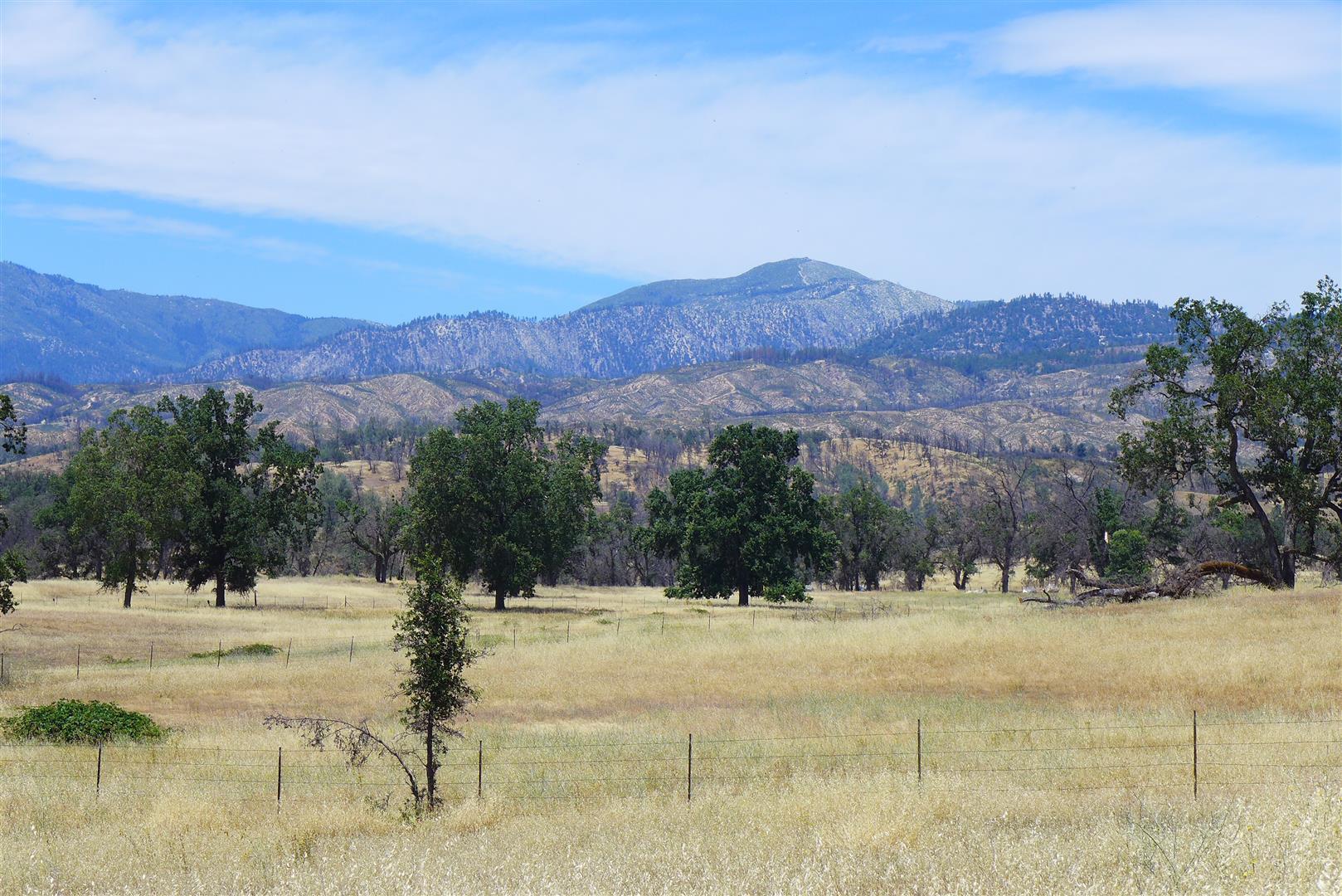 6050 Junkans Road Igo, CA 96047 - Photo 46 of 50 P1070797
