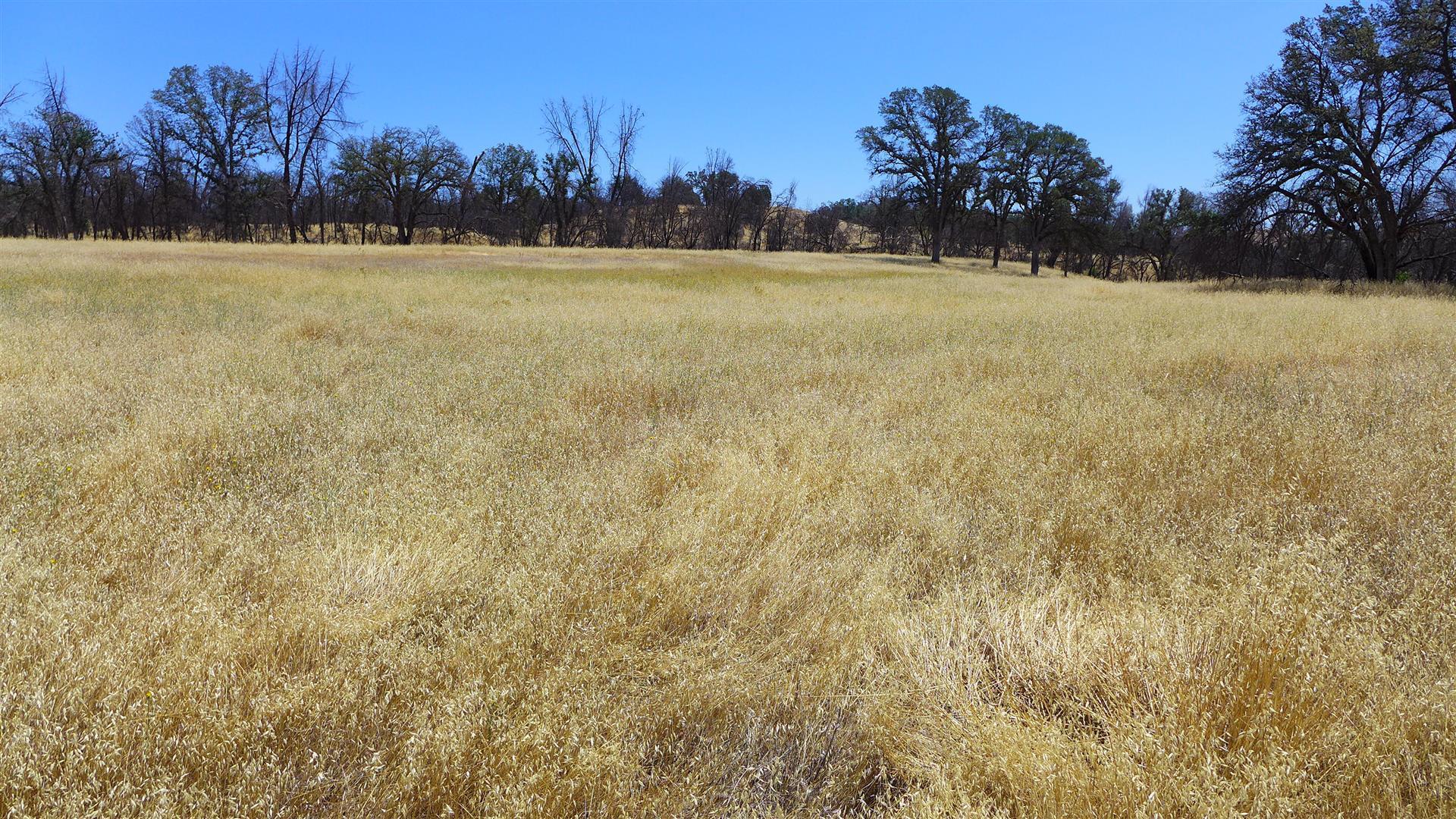 6050 Junkans Road Igo, CA 96047 - Photo 47 of 50 P1070798
