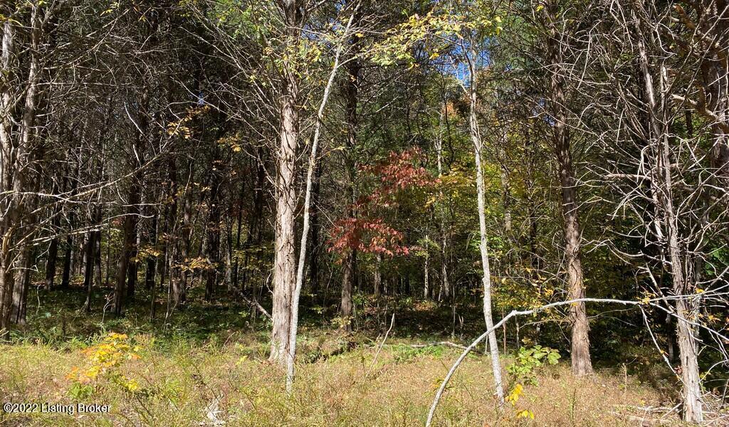 L41 Ted Logsdon Road Clarkson, KY 42726 - Photo 12 of 13 River View Fall190