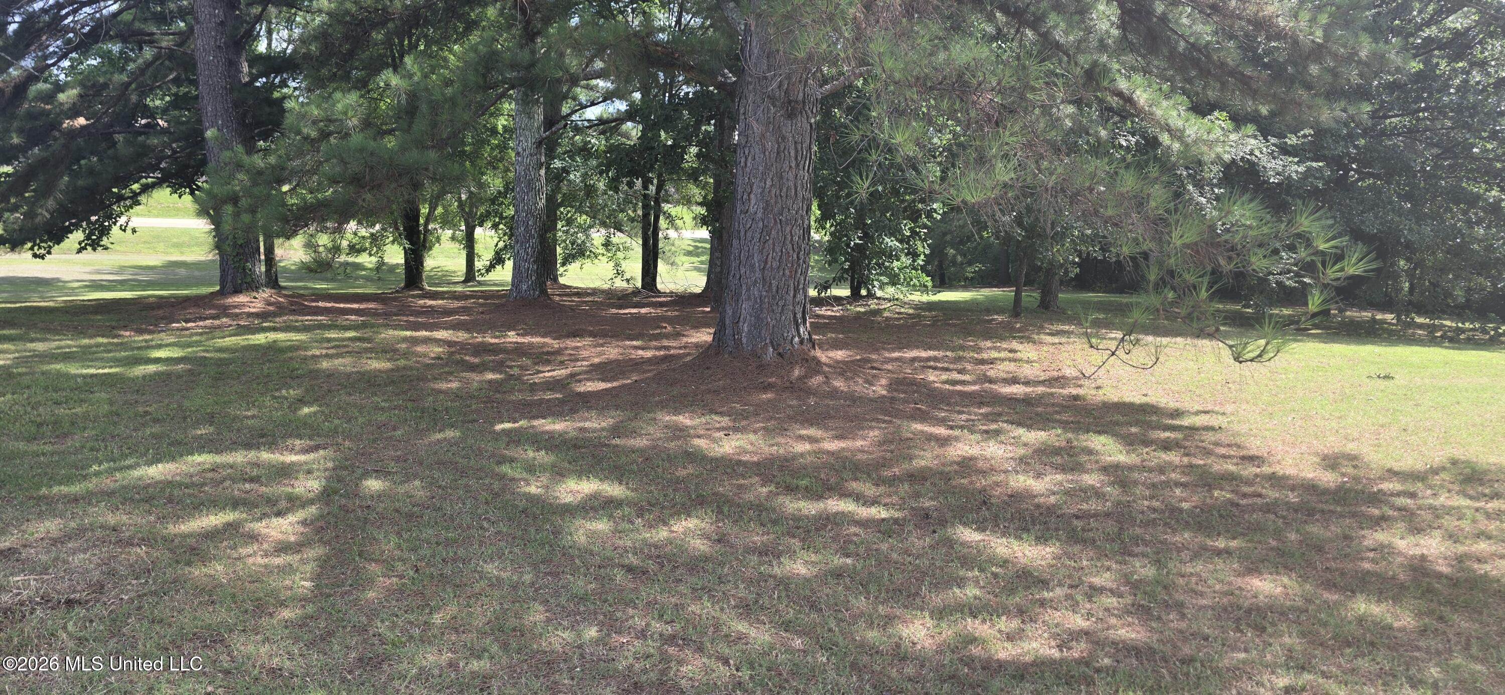 180 Stonewall Road Byhalia, MS 38611 - Photo 56 of 73 20260613_154753