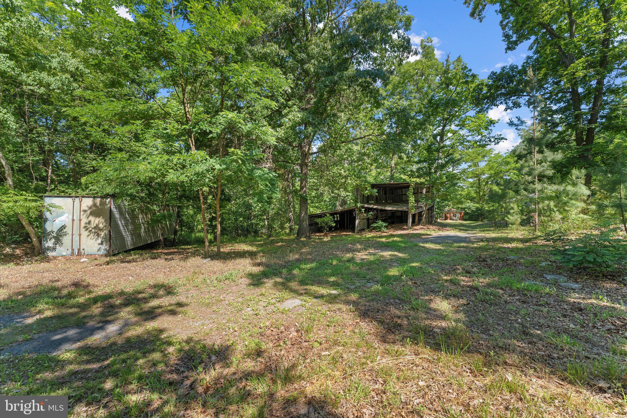 202 Cedar Grove Road Winchester, VA 22603 - Photo 18 of 21 Secluded retreat among lush greenery.