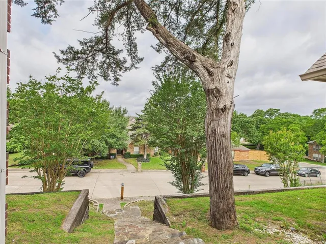 a view of a yard with palm tree