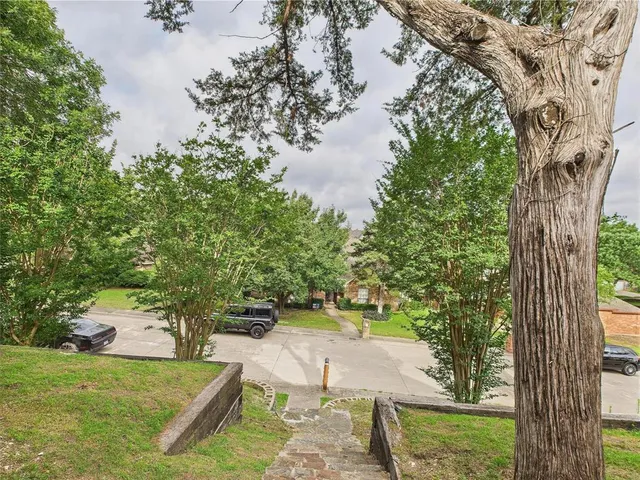 a view of yard with tree s