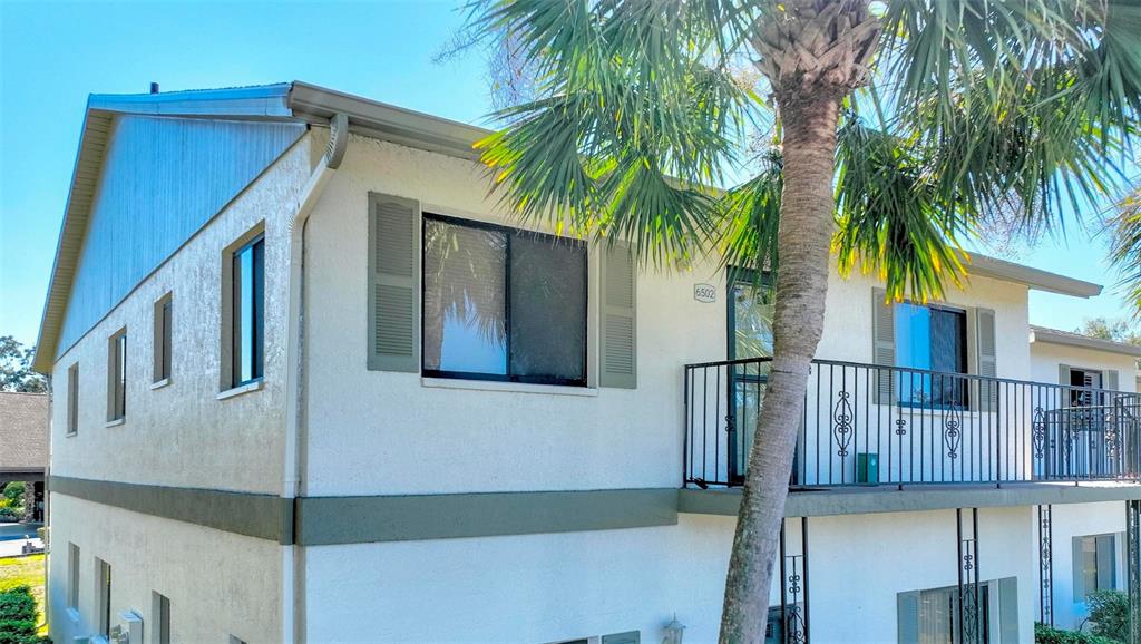 6502 River Run Boulevard, Unit 6502 Weeki Wachee, FL 34607 - Photo 3 of 47 a view of a house with a palm tree