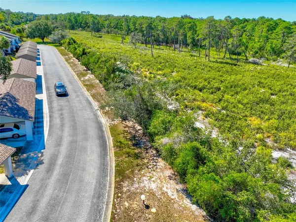 a view of a yard with an trees