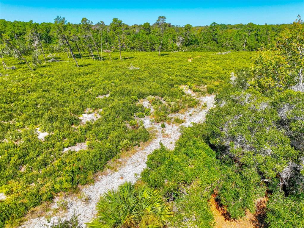 6502 River Run Boulevard, Unit 6502 Weeki Wachee, FL 34607 - Photo 43 of 47 a view of an outdoor space and a yard