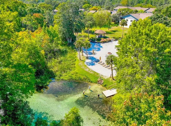 a view of flowers in a garden