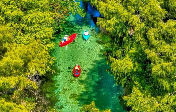 a view of a yellow and red tree