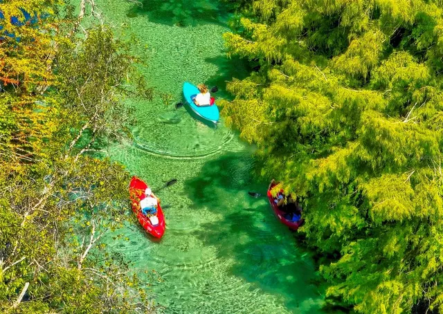 a view of a bird bath