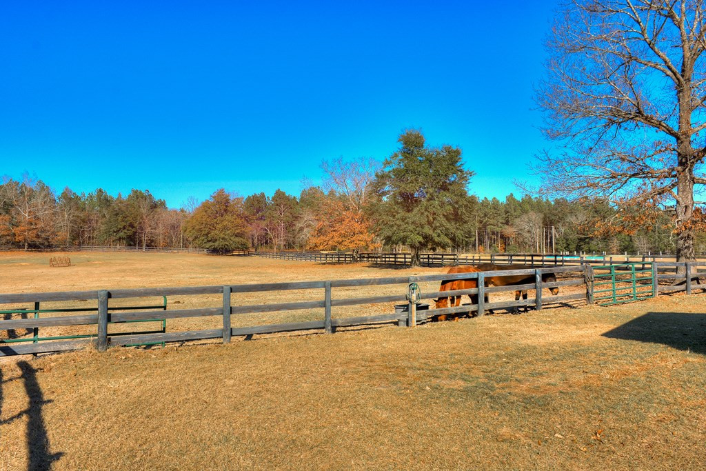 448 Long Cane Road Williston, SC 29853 - Photo 16 of 53