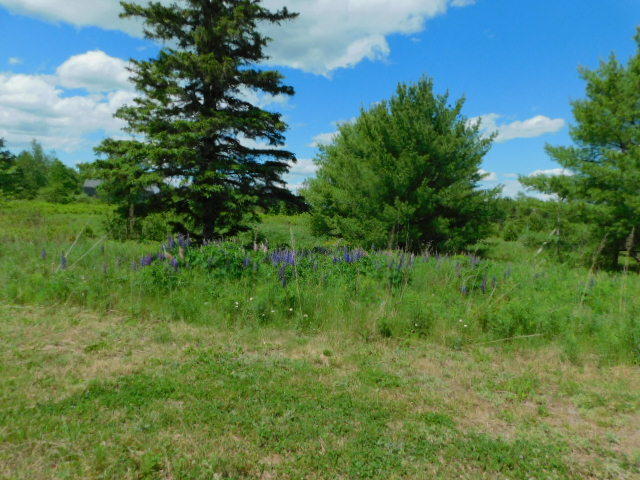 139 Leighton Point Road Pembroke, ME 04666 - Photo 16 of 53 DSCN4792