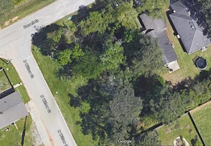 0 Carrell Street Tomball, TX 77375 - Photo 2 of 3 a view of a garden with plants