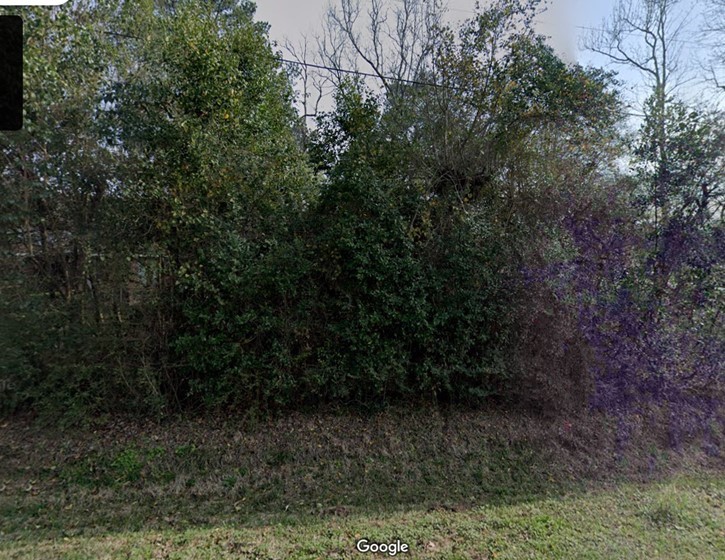 0 Carrell Street Tomball, TX 77375 - Photo 3 of 3 a view of a yard