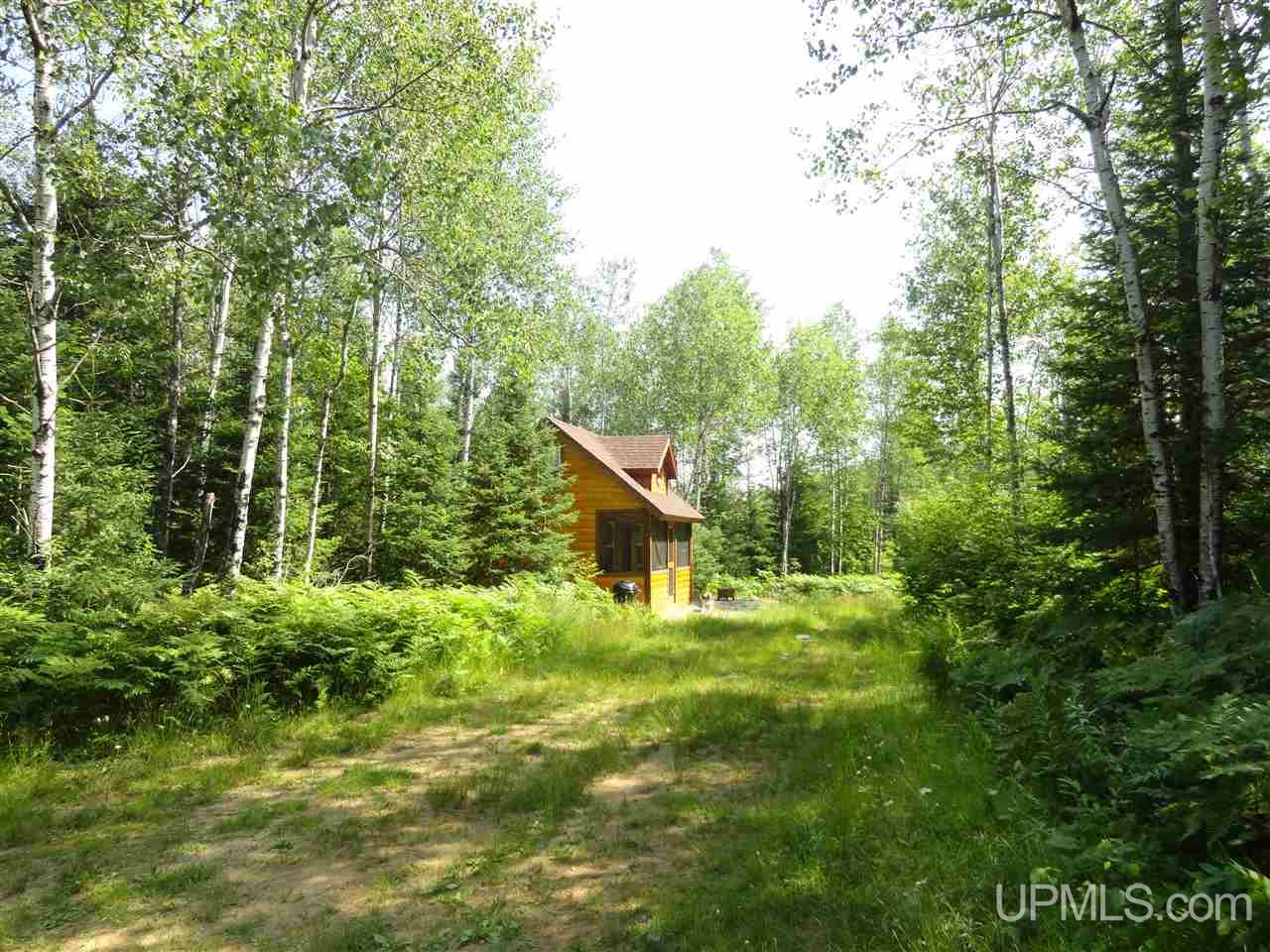 8878 Co Road Republic, MI 49879 - Photo 2 of 34