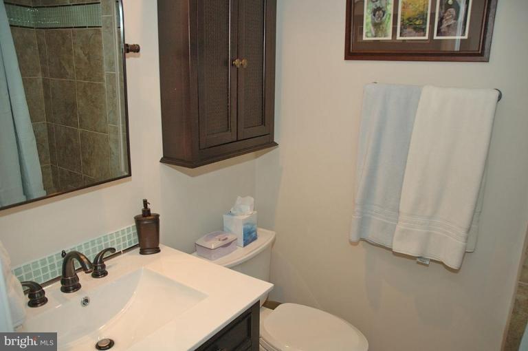 8809 Hayload Court Springfield, VA 22153 - Photo 14 of 20 Bath #1