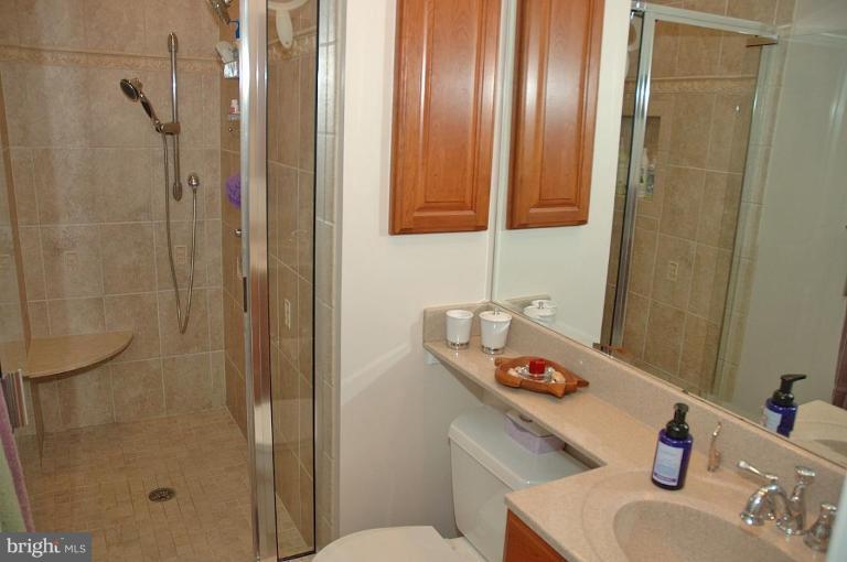 8809 Hayload Court Springfield, VA 22153 - Photo 9 of 20 Master Bath