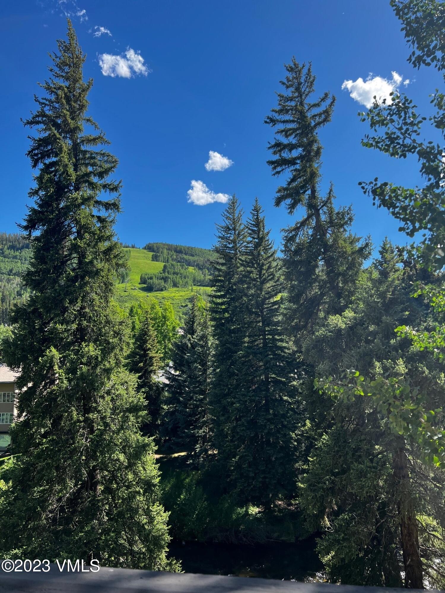434 South Frontage Road East, Unit 202 Vail, CO 81657 - Photo 8 of 25 Views Ski Slope