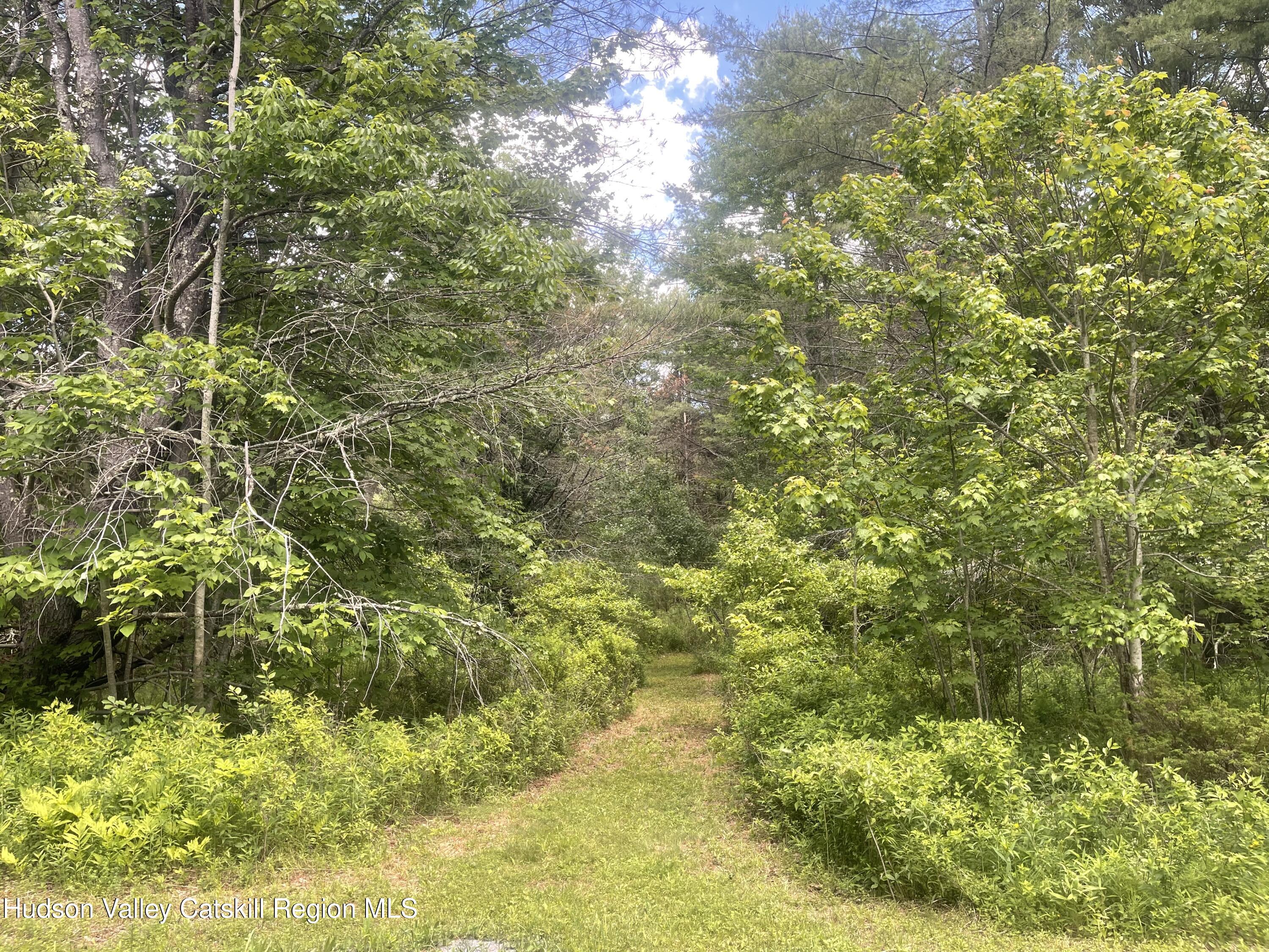 0 Campbell Road Windham, NY 12496 - Photo 5 of 7 IMG_0594