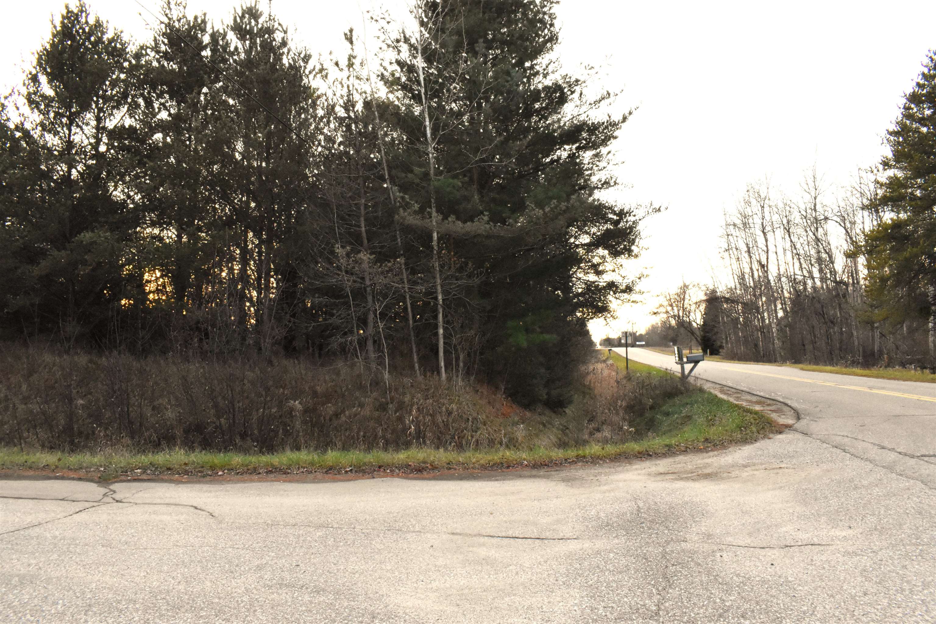 Lot 11 North Westchester Road Gladwin, MI 48624 - Photo 3 of 6