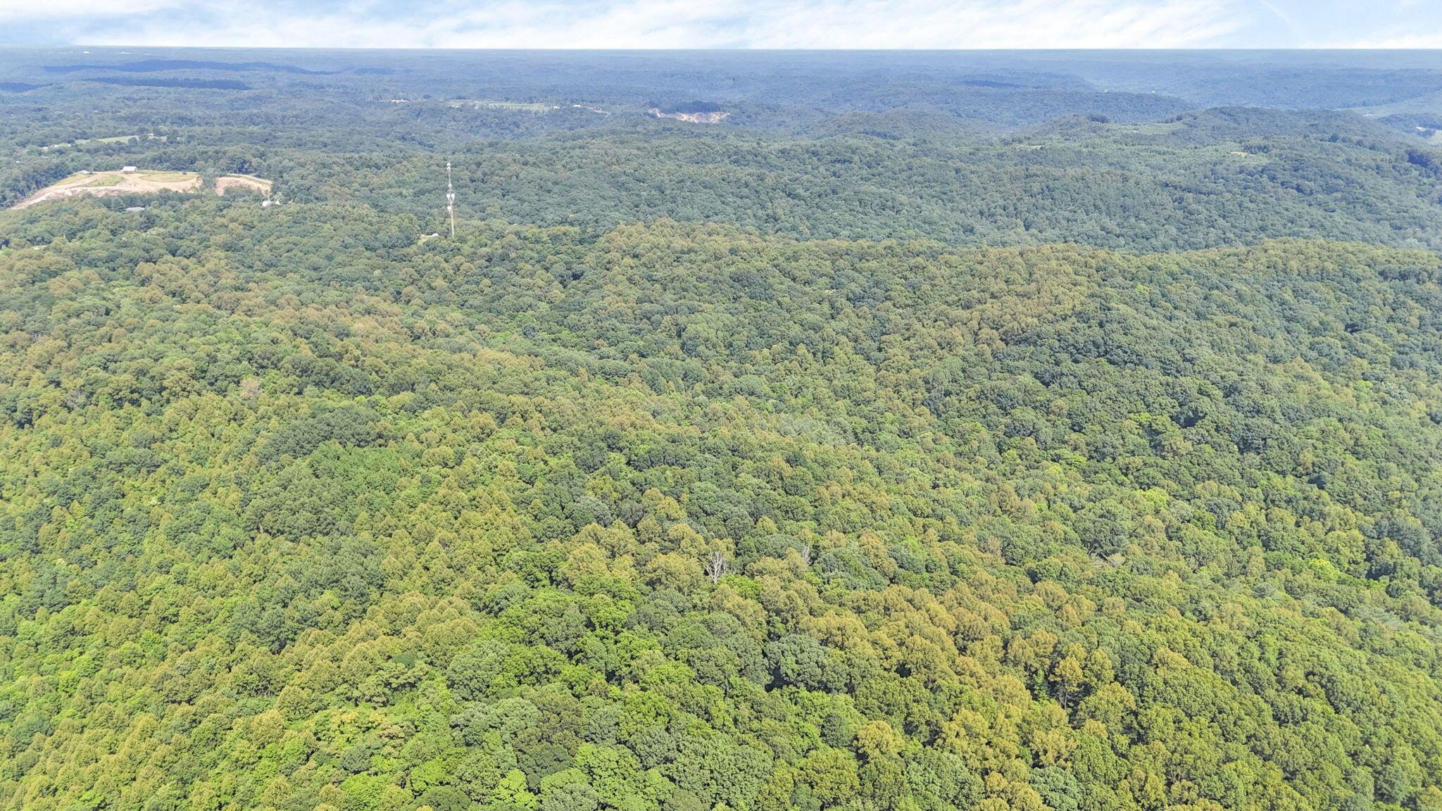 0 Thad Hall Road Laurelville, OH 43135 - Photo 13 of 28 3-web-or-mls-DJI_20240621161051_0065_D