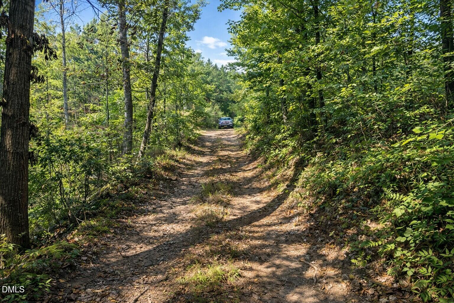 Dirt Road Pic 4