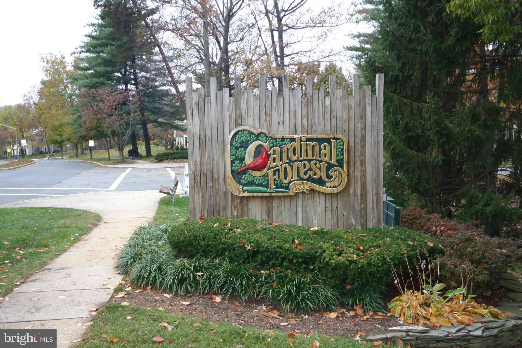 8110 Colony Point Road, Unit 222 Springfield, VA 22152 - Photo 18 of 23 Sought After Cardinal Forest