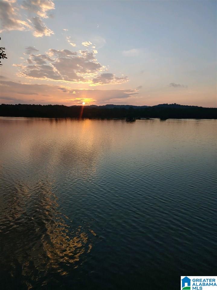 1500 Broken Arrow Creek Road Riverside, AL 35135 - Photo 12 of 15 Gallery Image 12