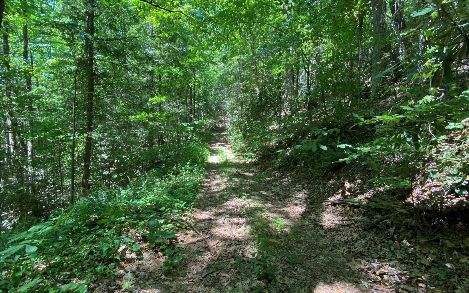Na Copper Creek Road Murphy, NC 28906 - Photo 21 of 23 Additional View