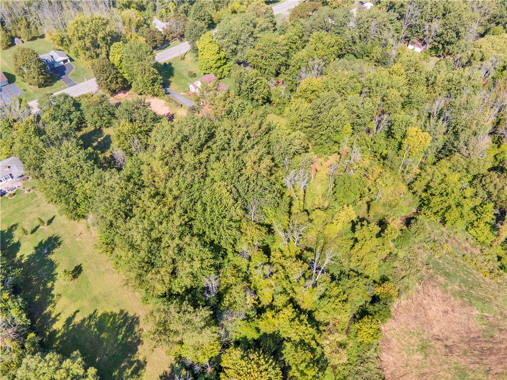 6312 County Line Road Ontario, NY 14519 - Photo 5 of 12