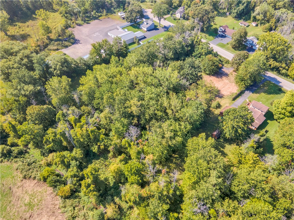 6312 County Line Road Ontario, NY 14519 - Photo 6 of 12