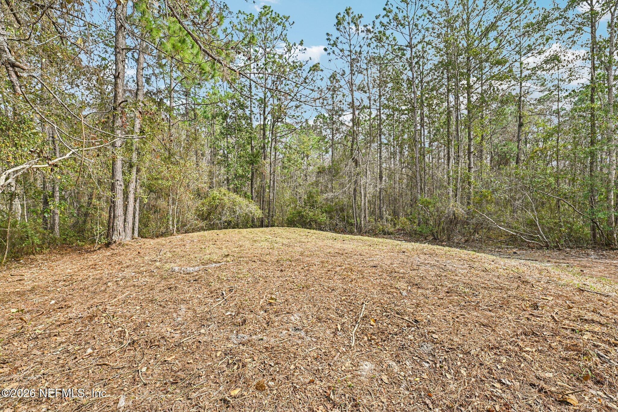 4938 Basil Street Middleburg, FL 32068 - Photo 46 of 47 44-web-or-mls-Basil St-S2102-044