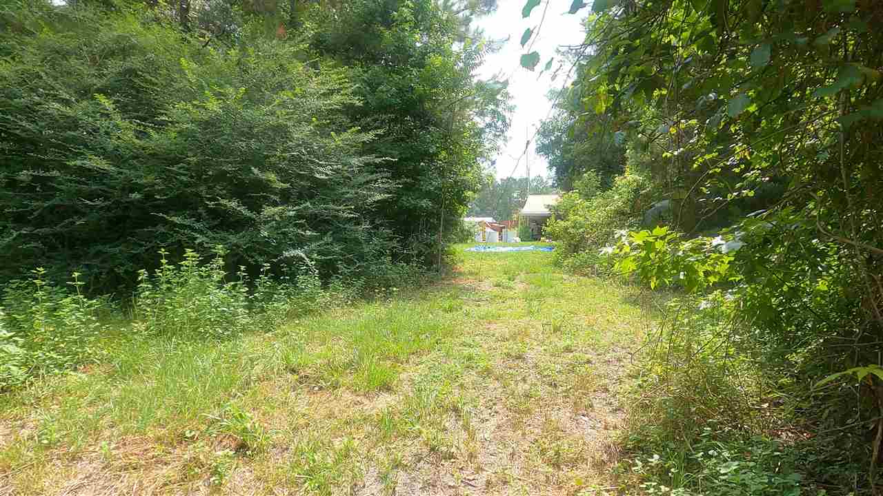 12344 Gamble Road Monticello, FL 32344 - Photo 1 of 8 Gallery Image 1