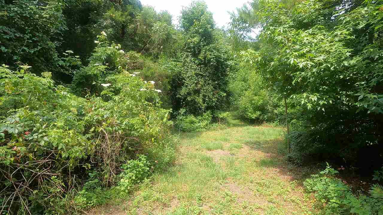 12344 Gamble Road Monticello, FL 32344 - Photo 2 of 8 Gallery Image 2